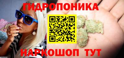 стафф Заволжье