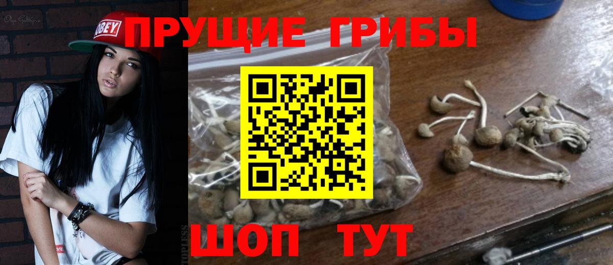Лыткарино  Псилоцибиновые грибы ЛСД  Вход с VPN 
